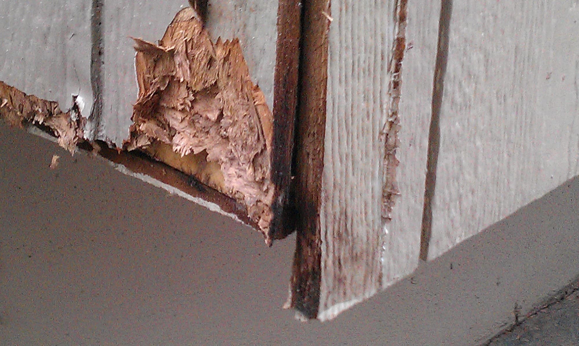 Decide to Re-side: Close up of planks with damaged wood siding Close up of planks with damaged wood siding